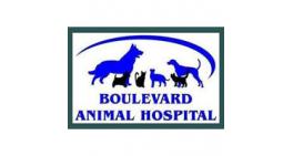 BOULEVARD ANIMAL HOSPITAL
