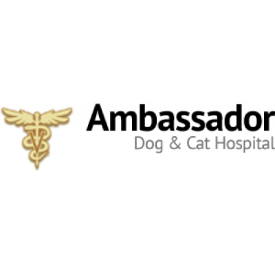 AMBASSADOR DOG & CAT HOSPITAL