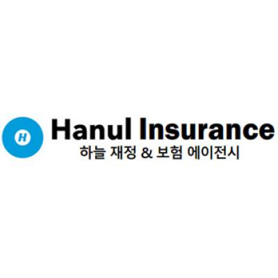 HaNul Financial & Insurance Agency 
