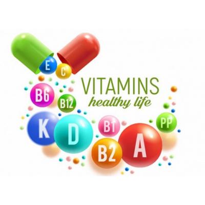 비타민에 대한 정보