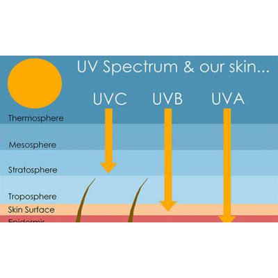 UV-B, 화산가스가 대멸종의 배경