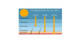 UV-B, 화산가스가 대멸종의 배경