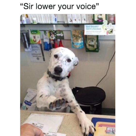 Sir lower your voice