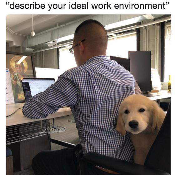 Ideal work