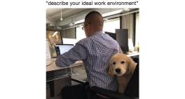 Ideal work