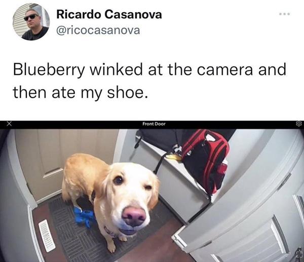 Blueberry