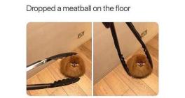 Dropped a meatball on the floor