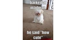 Barked at maillan