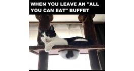 All you can eat buffet