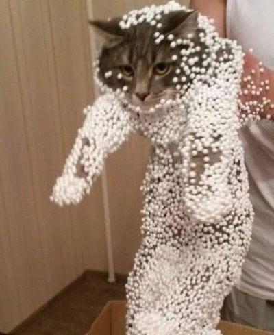 Mini Styrofoam Balls Cat