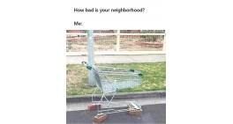 How bad is your neighborhood?