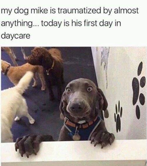 His first day in daycare