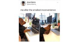 After the smallest inconvenience