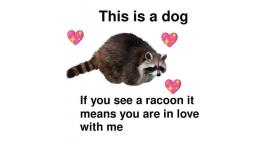This is a dog