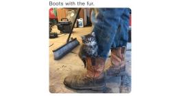 Booots with the fur