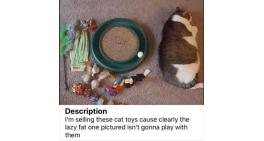 I'm selling these cat toys