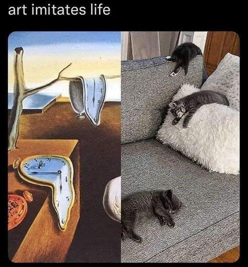 Cat - Art