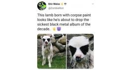 Born with corpse paint