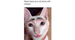 Never leave your cat alone