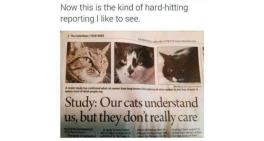 they don't really care