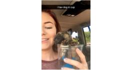 I ahve dog in cup