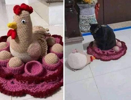 Poor chicken