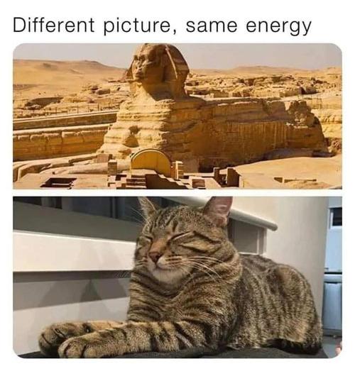 Same energy.. oh well