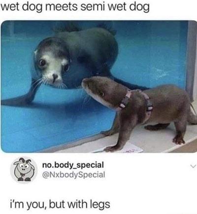 I'm you, but with legs