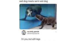 I'm you, but with legs