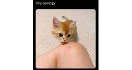 Tiny apology