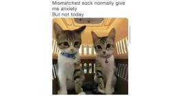Mismatched sock