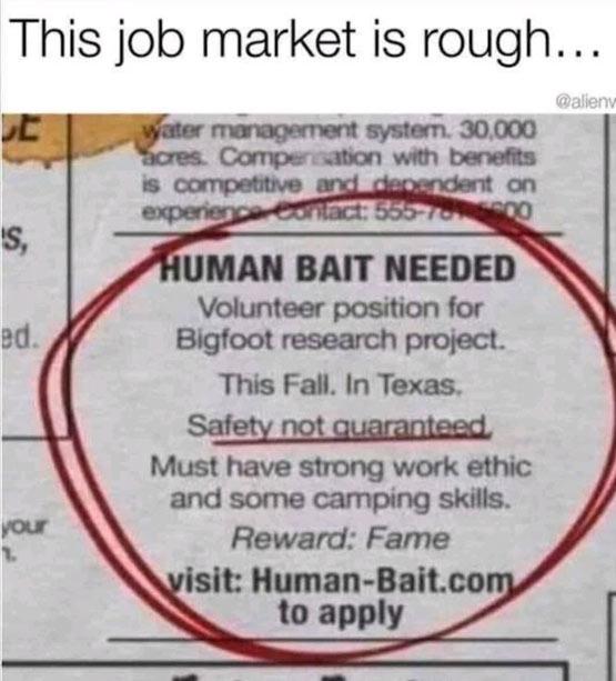 Job market is rough