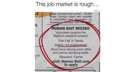 Job market is rough