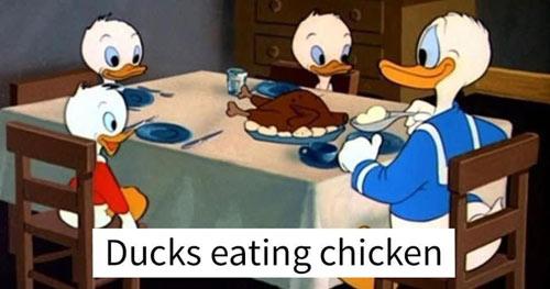 Duscks eating chicken
