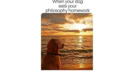 When your dog 