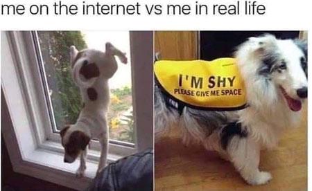 Me on the internet vs