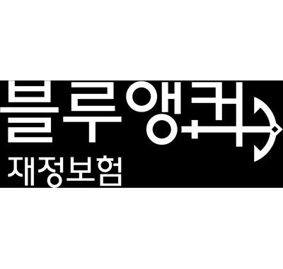 블루앵커 재정보험