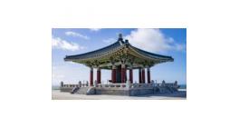 한인 임산부 ‘응급실 뺑뺑이’ 비극